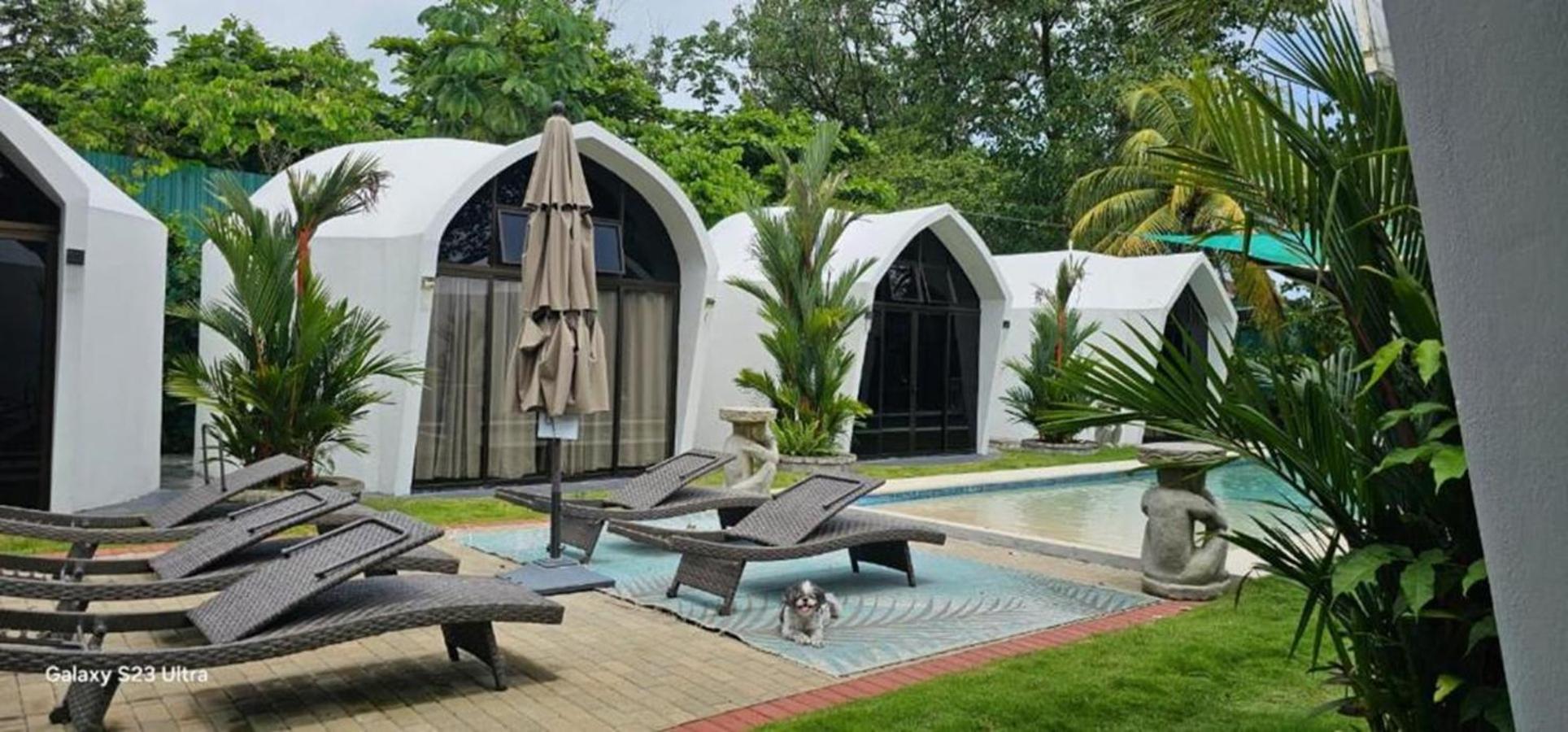 Alborada Boutique Stay Увита Экстерьер фото
